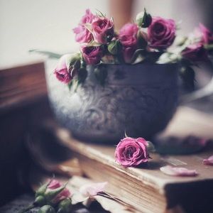 Meet your Posher, Joy